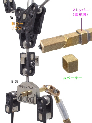 骨盤にリギングしたところ